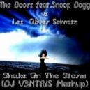 The Doors feat.Snoop Dogg vs Les & Oliver Schmitz - Shake On The Storm (DJ V3NTRIS Mashup)