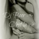 Dj Boor - C\'est la vie ()
