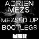 SHM, Dave Silcox, Dirty South & TUS - Bang Your Head Alone (Adrien Mezsi Booty)
