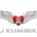 Axwell vs. Peter Brown - Together (DJ KumIbra Mash-Up)