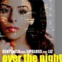Sentenela pres. Lipgloss ft. Liz - Over The Night (Jonnas Roy Hard Circuit Style PVT Mix)