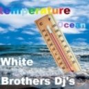 White Brothers Djs - Temperature (Extended Mix)
