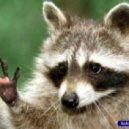 BLACK & WHITE - The Another (DJ Енот Tribal Mix)