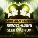 Rihanna vs. Sergio Mauri - Where Have You Been