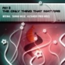 Peet B - The Only Thing That Matters (Original Mix)