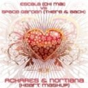 Escala vs Space Garden - Chi Mai There Back (ACHARES & Nortiana Heart MashUp)