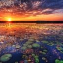 Sedi & Syncroft - Amazon (Original Mix)