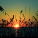 Exist Strategy - Gem