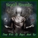 Soul Sonic - Sleep Well