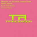 Shogun vs. Richard Durand feat. Ellie Lawson - Run To Wide Awake