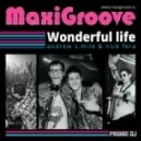 Maxigroove - Wonderful Life (Leo Burn Remix)