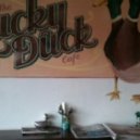 Lucky Ducks - Summer fresh