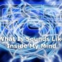 Ted Rivera - What Is Sounds Like In My Mind