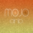 Mojo - The Perfect Storm