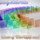 Mr. White - World of TRANCE vol.7 ()