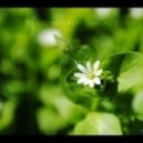 Dj Listev - Free sounds 8