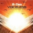 R-Tem - Voiceless (Shatny Remix)