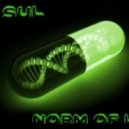 DJ Sul - Norm of life