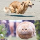 20 Fingers Ft. Gillette - Short Dick Man (ArTiPHx Remix)