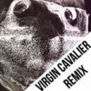 Damian Marley - Welcome To Jamrock (Virgin Cavalier Remix)