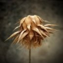 Sisscok - Dead Flower (Original Mix)