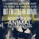 Miike Snow - Animal