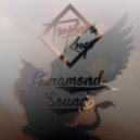 Vostok-1 - Templiers Rouge - Francaise Heritage (Vostok-1 Remix)