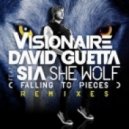 David Guetta ft. Sia - She Wolf (Dirty Dutch Visionaire Remix)