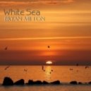 Bryan Milton - White Sea