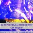 DJ Kopernik, feat Shakedown - The Night