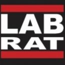 LabRat - Power Animal