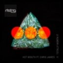 Hot Mouth ft. Chris James - Totally Worth It (Addictpulse Blow It Up Remix)