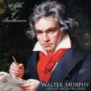Walter Murphy - A Fifth Of Beethoven