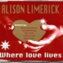 Alison Limerick - Where Love Lives (Handi Remix)