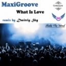 Maxigroove - What Is Love