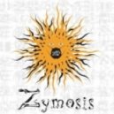 Zymosis - Moment Of Eclipse