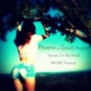 Phoenix vs David August - Fences On My Mind