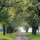 Deniz L - Spirit of the Spring