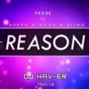 Nervo vs. Hook N Sling & Probe - Reason (Dj Hav-er Mashup)