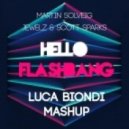 Martin Solveig vs. Jewelz & Scott Sparks - Hello Flashbang (Luca Biondi Mashup)