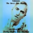 Eminem - The Real Slim Shady