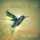 Xavier Rudd - Spirit Bird