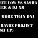 Reece Low vs. Sasha Veter & DJ Xm - More than dni (ParavoZ Project Mash Up)