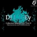 Real Booty Babes & Phil Fuldner vs. Roma Pafos - Street Player Miami Party (DJ L.J.-Ey Mash Up)