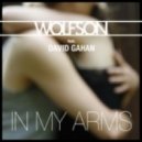 Wolfson feat. David Gahan - In My Arms (Extended Mix)