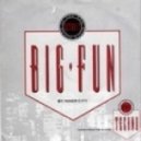Inner City - Big Fun