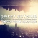 Calvin Harris Ft. Florence Welch Vs. Wolfgang Gartner - Sweet Nothing (Disco Fries Bootleg)