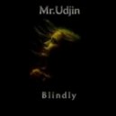 Mr.Udjin - Abstraction
