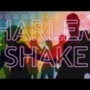 Baauer - Harlem Shake (StreX Edit)