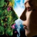 Den Airy - Color Dream